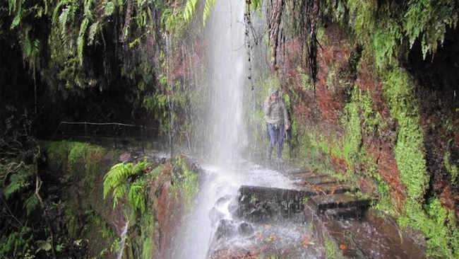 vereda do areeiro