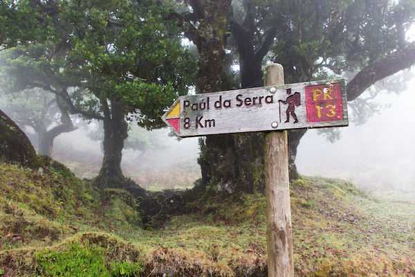 vereda do areeiro