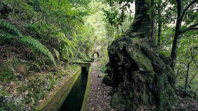 caminho do pinaculo
