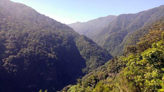 vereda do areeiro