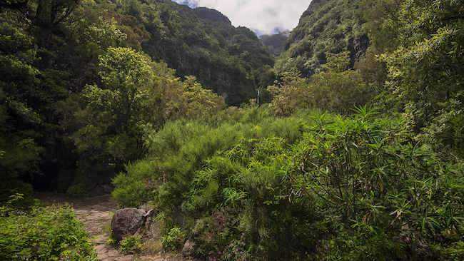 caminho do pinaculo
