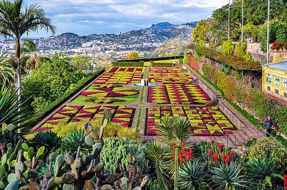 'Jardin Botanique Funchal | Madere'
