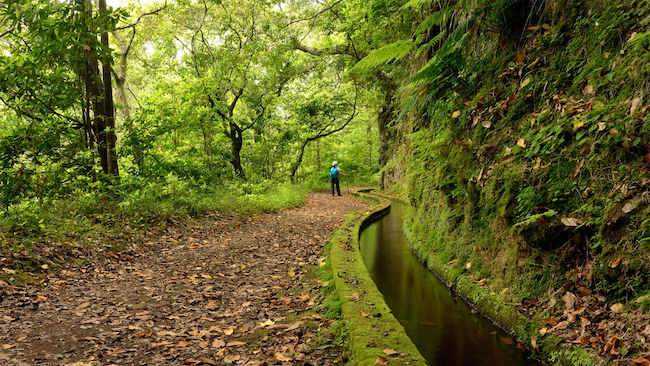 vereda do areeiro
