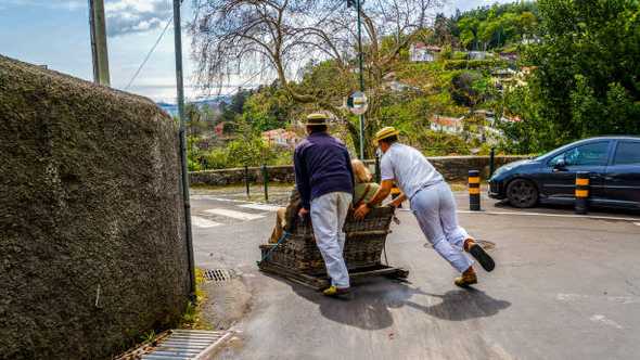 Carros de Cesto Funchal