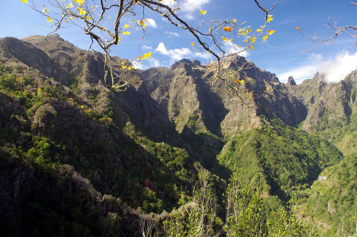 vereda do areeiro